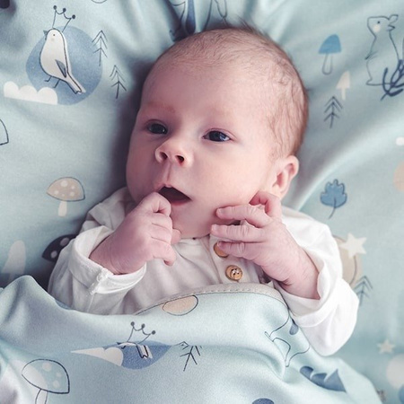 Snap The Moment, Foto-kocyk - Fresh Forest